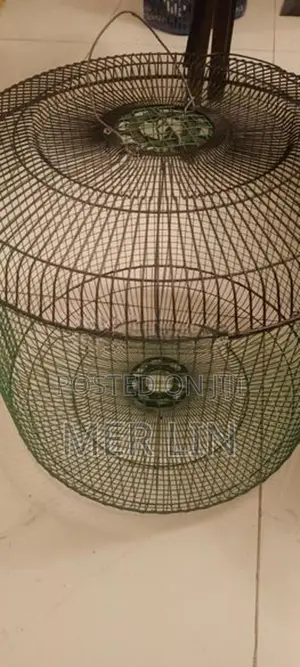 Parrot Cage