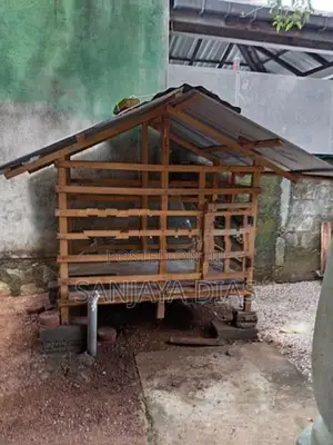 Dog Cage