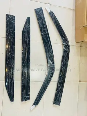 LC 250 Door Visor 2024