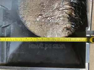 Benz W202 Radiator Fan Cover