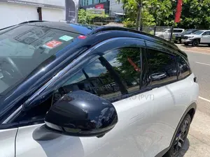 Beijing X55 Door Visor