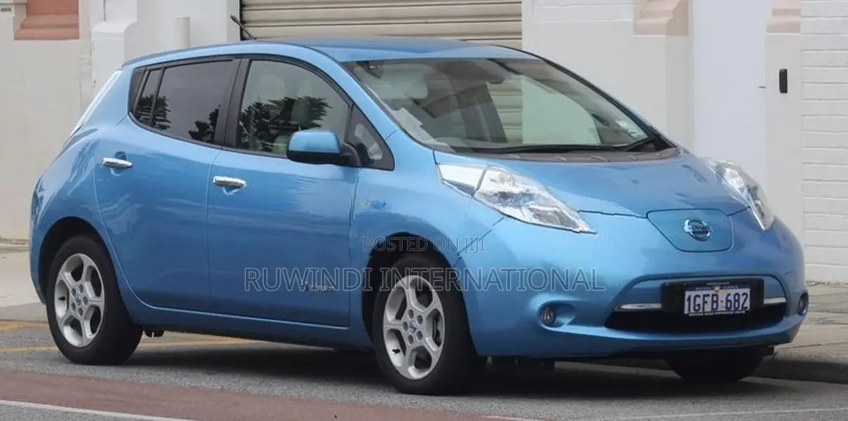 Nissan Leaf Door Visor Set