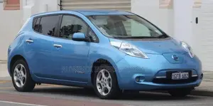 Nissan Leaf Door Visor Set