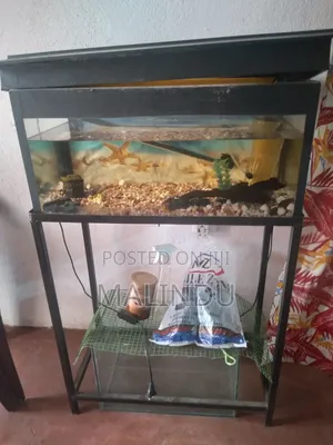 Fish Tank With Motor