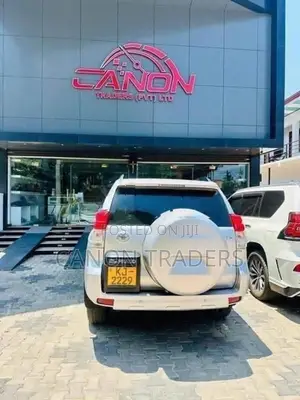 Land Cruiser Prado 150 TX Back Door Set