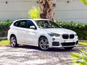 BMW X1 sDrive18i M Sport 2019