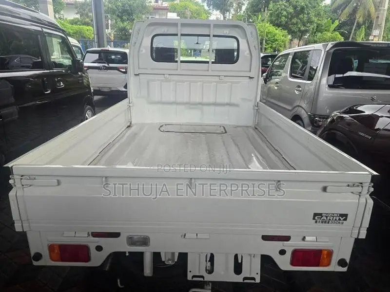 Suzuki Carry auto safty 2023