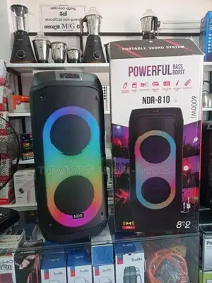 NDR 810 Karaoke Speaker