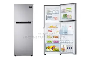 Samsung Double Door 253 Liter Refrigerator - Inverter (RT40