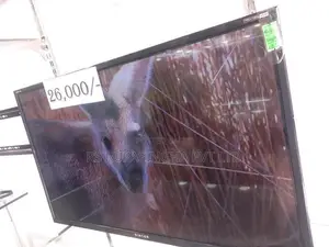 Singer 32 LED Tv