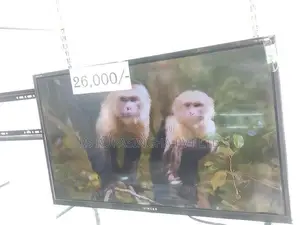 Singer 32 LED Tv