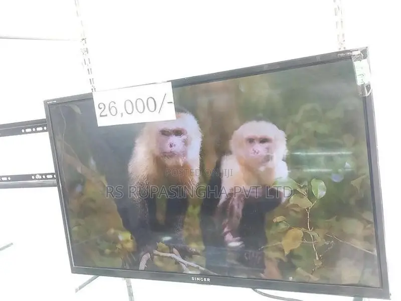Singer 32 LED Tv