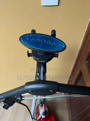 Steam Iron