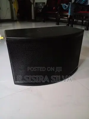 Karoke Speakers