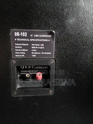 Karoke Speakers