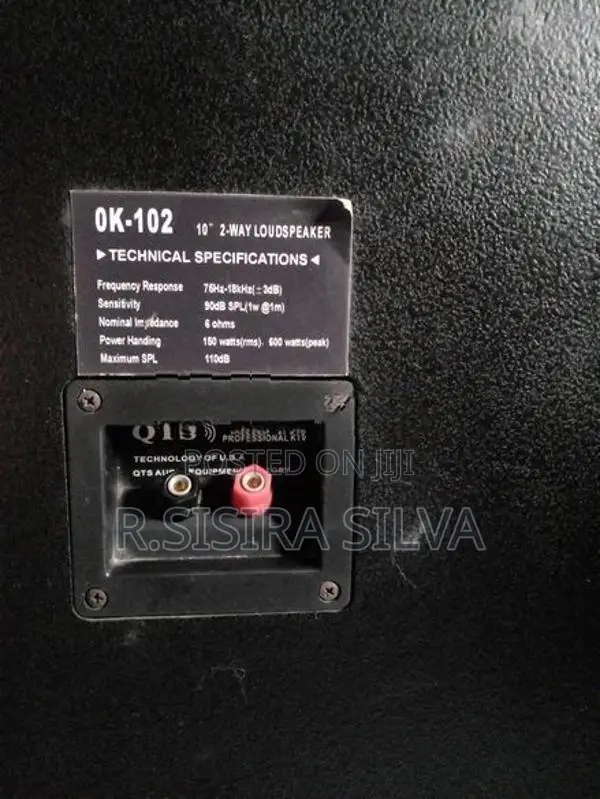 Karoke Speakers