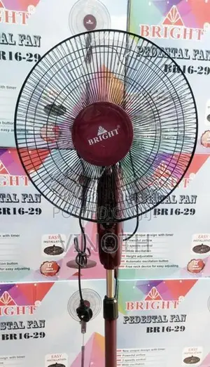 Stand Fan