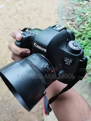 Canon 6d with 50mm Stm Lens