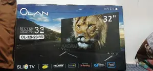 Olan 32" Slim LED HD TV