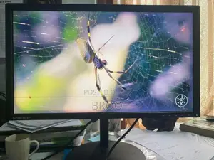 Lenovo IPS 23 Inch Monitor