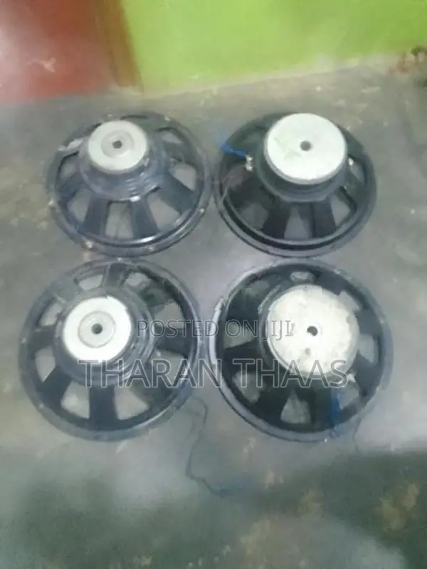 15"4 Speaker