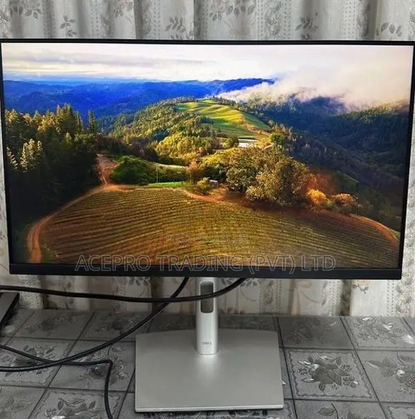 Dell 24inch Type C Frameless Monitor 2022 model P2422HE