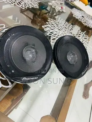Pioneer Dual Cone Speakers