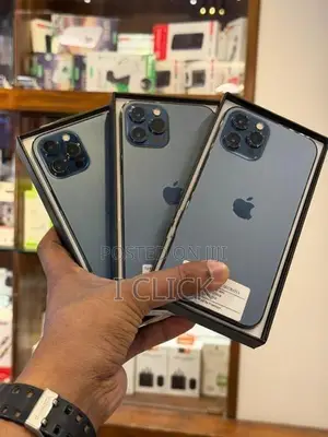 Apple iPhone 12 Pro Max 256GB (Used)