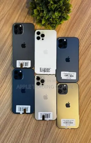 Apple iPhone 12 Pro Max 256GB (Used)