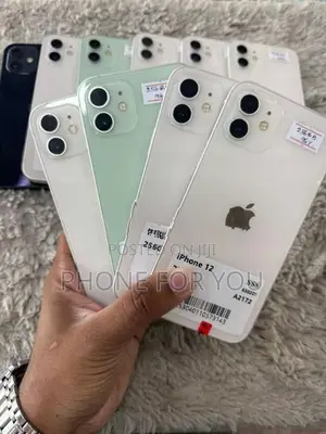 Apple iPhone 12 (Used)