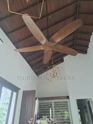 Fan Real Wood