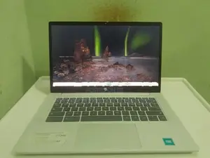 HP ChromeBook Laptop