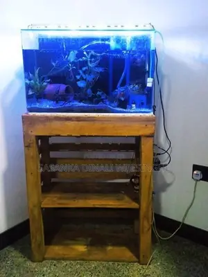 Fish Tank