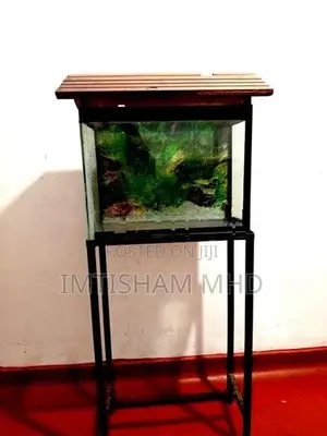 Fish Tank