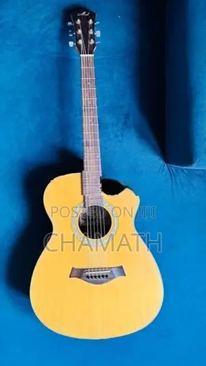 Acoustic Guitar F Cut