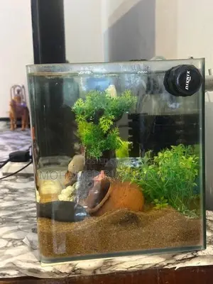 Fish Tank