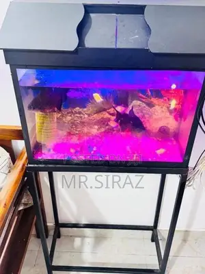 Fish Tank Full Set