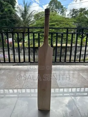 Softball cricket bat