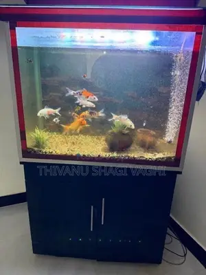 Fish Tank