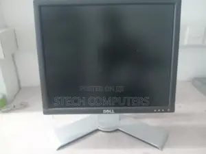 Dell 17 inch LCD Monitor