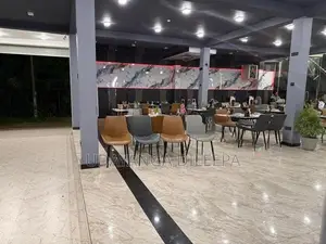 Restaurant Chairs