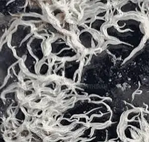 Grindel Worms