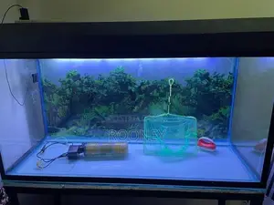 Fish Tank