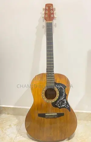 Acoustic Guitar