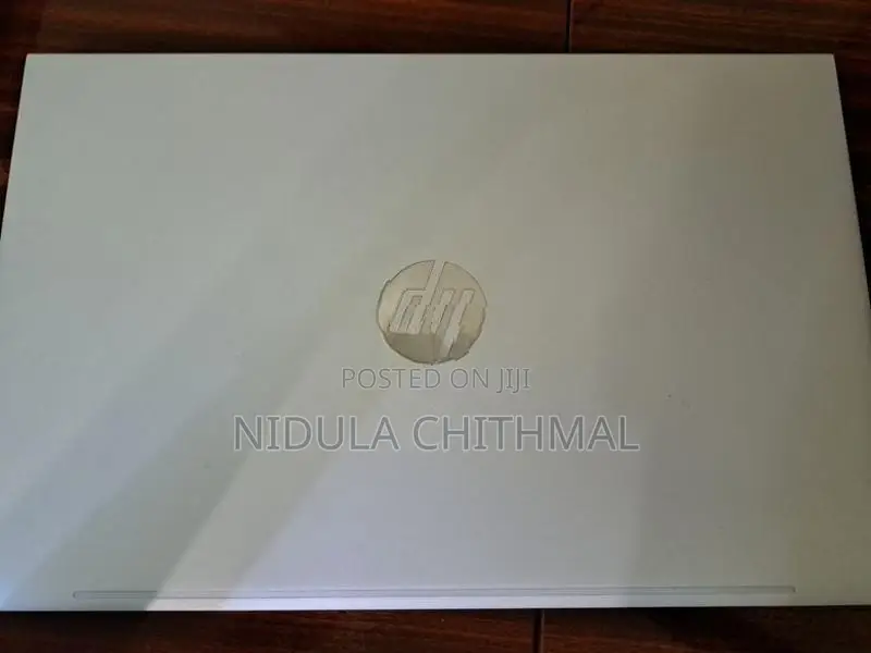 HP Probook 450 G10 I7 13th Gen