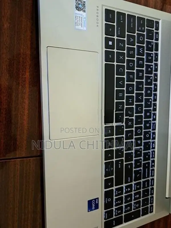 HP Probook 450 G10 I7 13th Gen