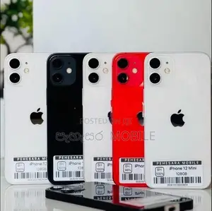 Apple iPhone 12 mini 128GB (Used)