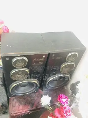 Kanwood Speakers