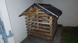 Dog Cage