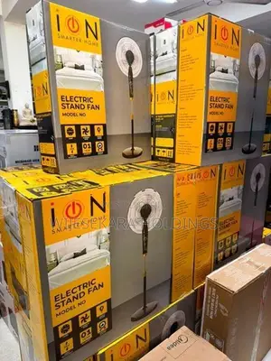 ION Electric Stand Fan